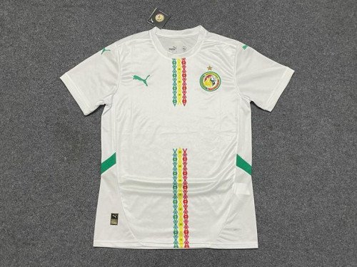 Maillot Officiel Senegal Exterieur Can 2025