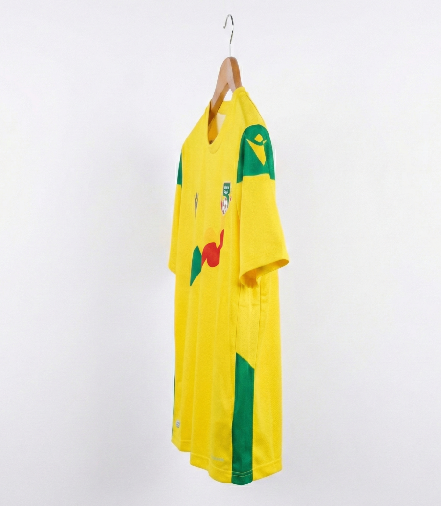 Maillot officiel Domicile Bénin