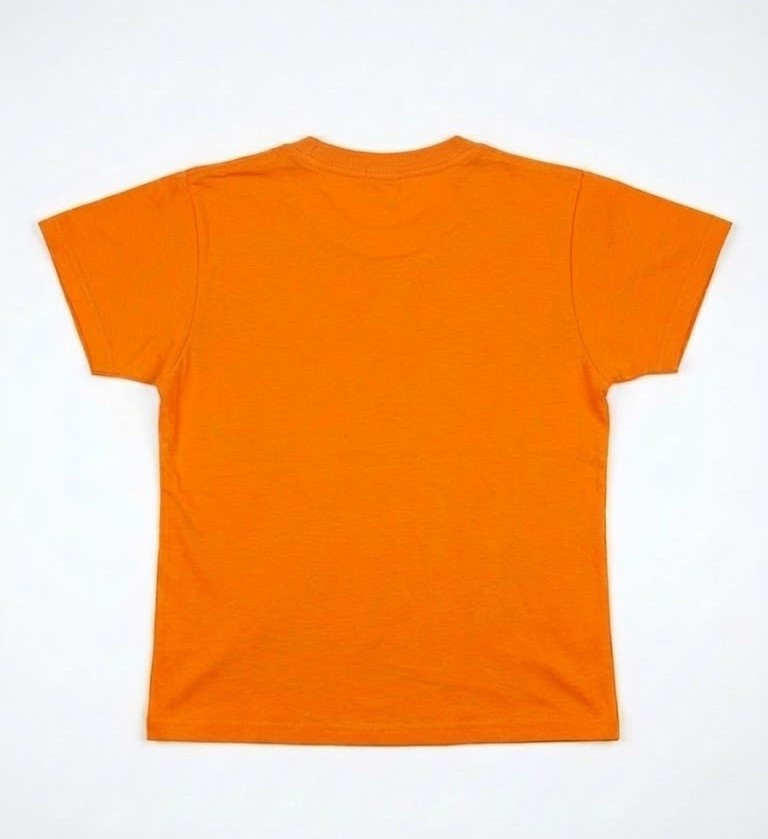 Tee-shirt Taille L